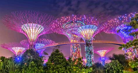 1. Ascend to the Pinnacle of Gardens by the Bay