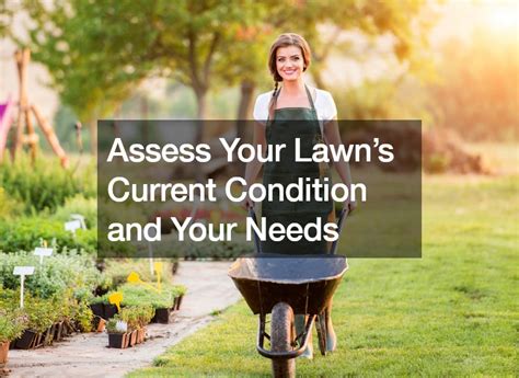 1. Assess Your Lawn's Needs