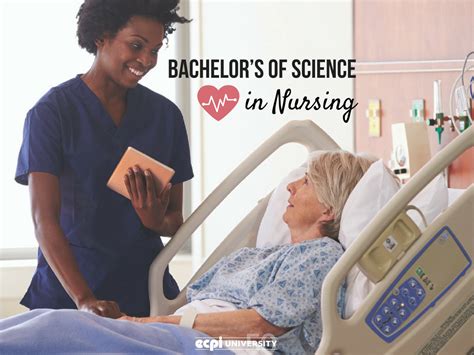 1. Bachelor of Science in Nursing (BSN)