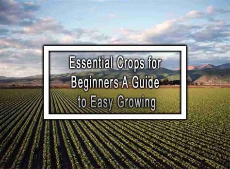 1. Begin with Essential Crops