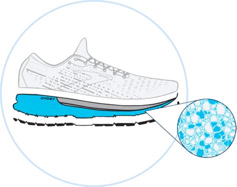 1. BioMoGo DNA Technology: