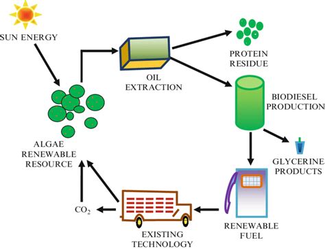 1. Biofuel Production: