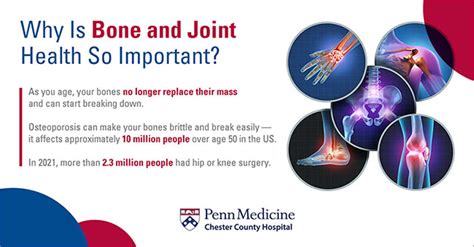 1. Bone and Joint Health