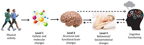 1. Boosts Mood and Cognitive Function