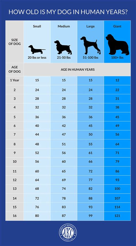 1. Breed, Age, and Size