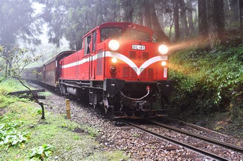 1. By Train (Alishan Forest Railway)