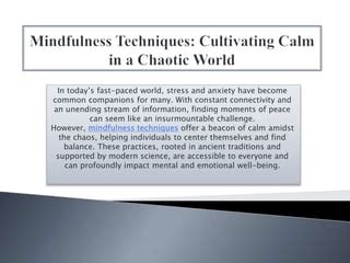 1. Calming Companion for Emotional Balance