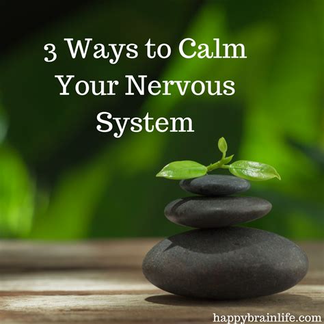 1. Calms the Nervous System: