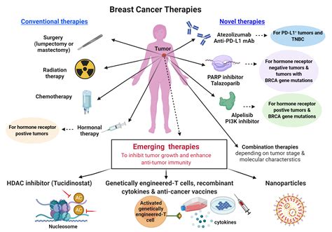 1. Cancer Therapy: