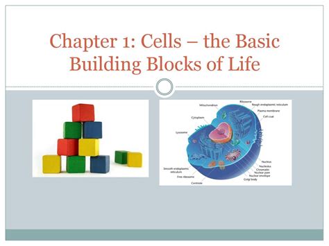 1. Cells: The Building Blocks of Life