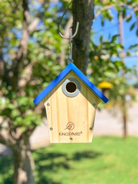 1. Choose the Right Birdhouse