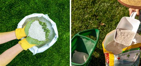 1. Choose the Right Fertilizer for Your Grass