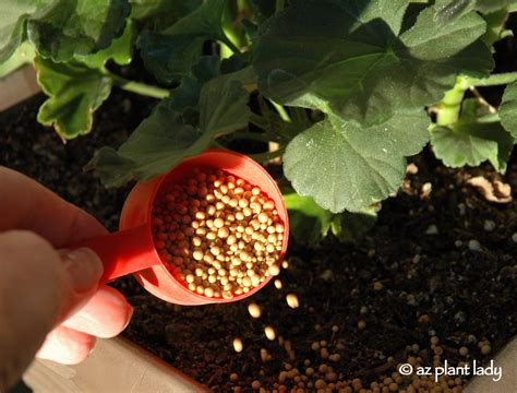 1. Choose the Right Fertilizer for Your Plants