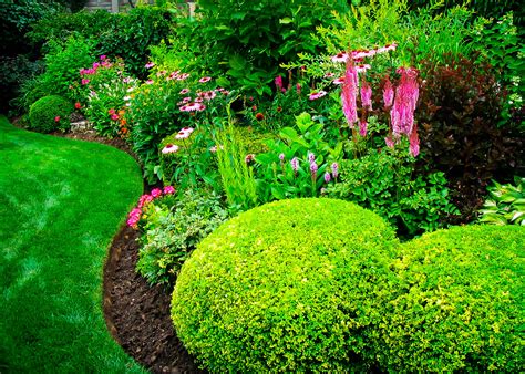 1. Choosing the Right Bushes