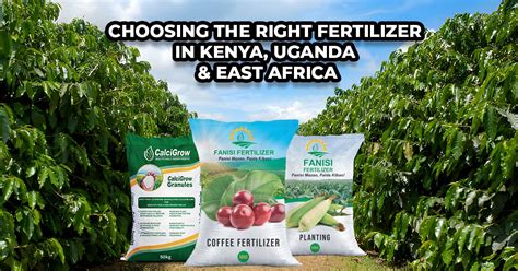 1. Choosing the Right Fertilizer