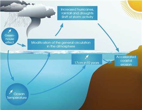 1. Climate Regulation: