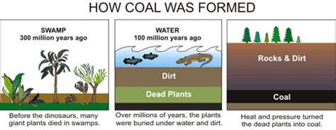 1. Coal: Energy's Ancient Source