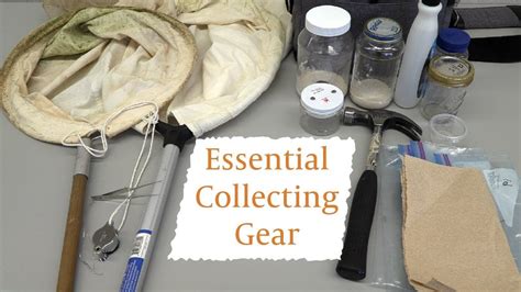 1. Collect the Essential Materials: