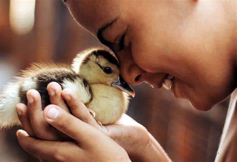 1. Compassion for Animals: