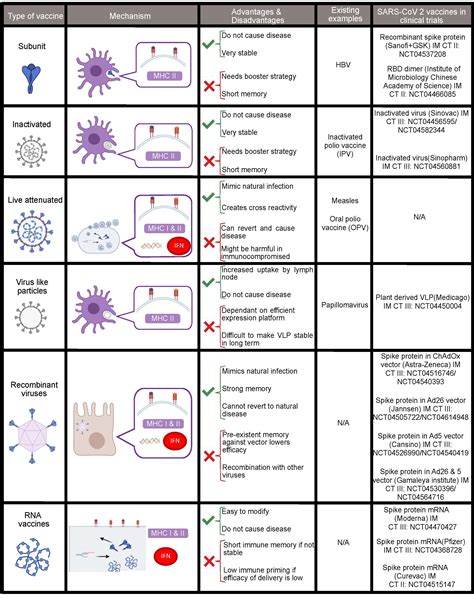 1. Composition and Mechanism of Action: