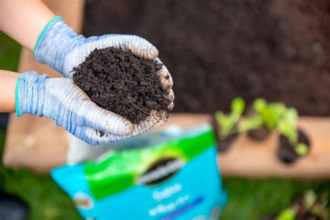 1. Compost: A Versatile Enricher