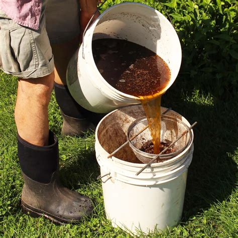 1. Compost Tea