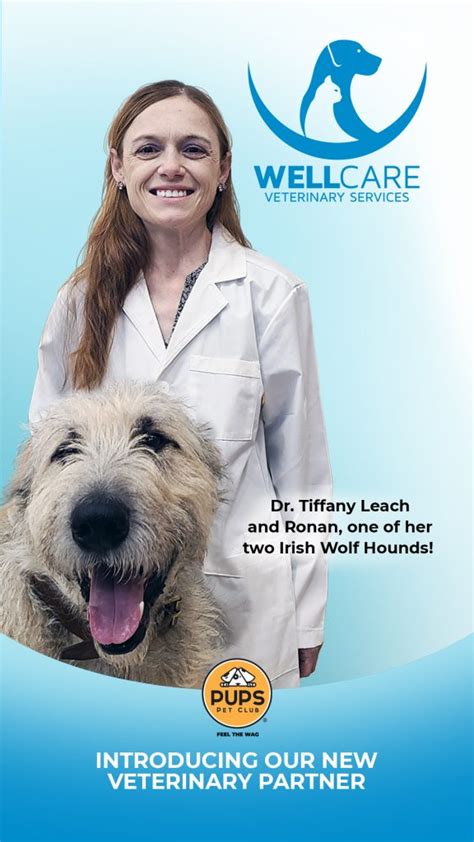 1. Comprehensive Veterinary Services