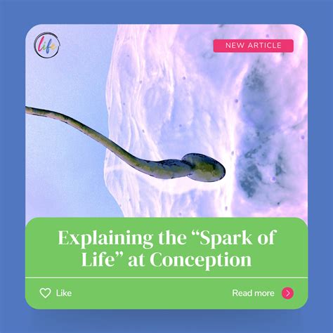 1. Conception: The Spark of Inspiration