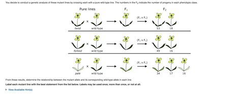 1. Conduct Genetic Analysis