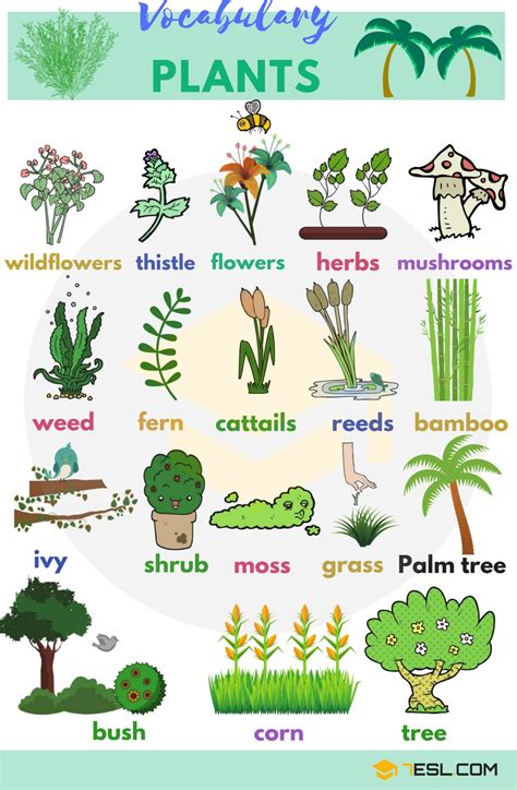 1. Consider the Type of Plants You Have