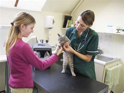 1. Consult with a Veterinarian