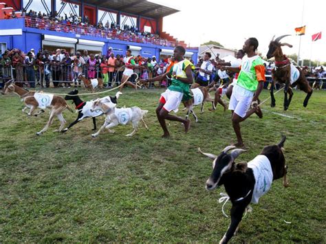 1. Corrida de Cabras