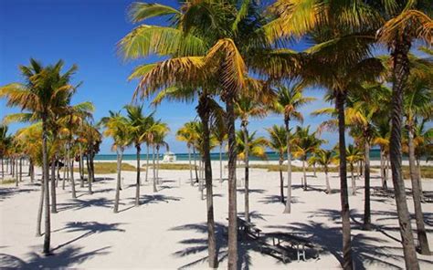 1. Crandon Park Beach: The Ultimate Family Getaway