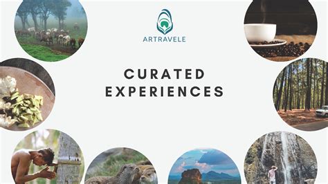 1. Curated Experiences: