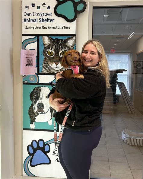 1. Dan Cosgrove Animal Shelter: New Haven's Haven for Homeless Pets