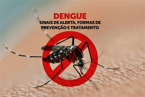 1. Dengue Sem Sinais de Alerta