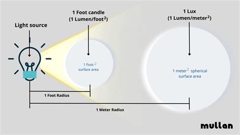 1. Determine Lighting Purpose: