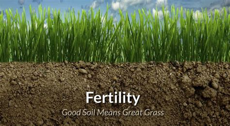 1. Determine Soil Fertility