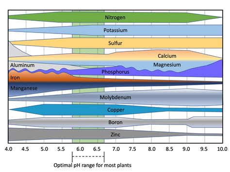 1. Determine Soil Nutrient Levels: