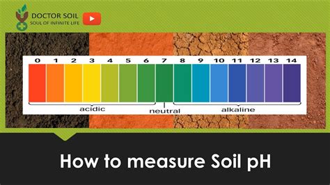 1. Determine Soil pH