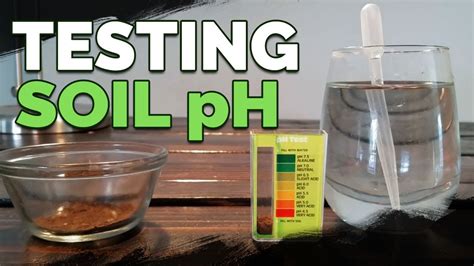 1. Determine Soil pH: