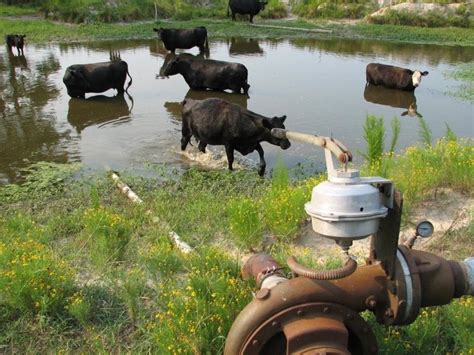 1. Determine Your Farm's Water Source: