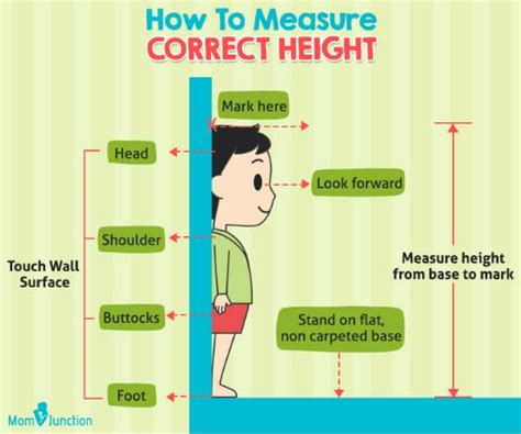 1. Determine Your Height: