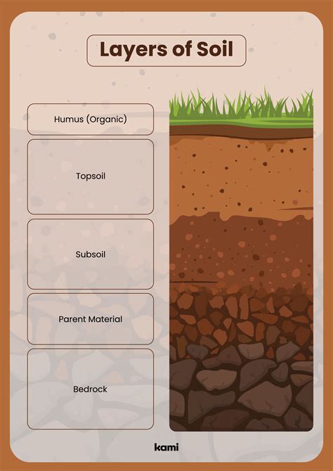 1. Determine Your Soil's Needs