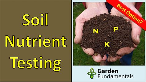 1. Determine your soil's nutrient levels.