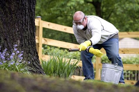 1. Determining the Right Time to Fertilize