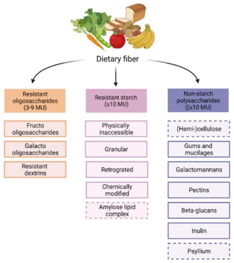 1. Dietary Modifications: The Power of Fiber