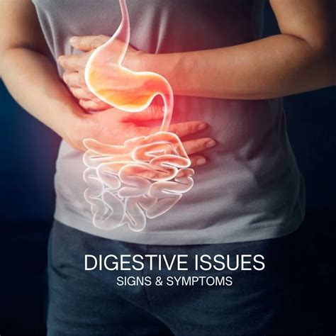 1. Digestive Issues