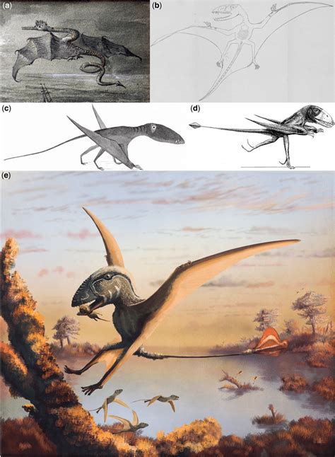 1. Dimorphodon Macronyx: The Acid-Spitting Pterodactyl