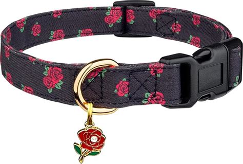 1. Distinctive Dog Collar: